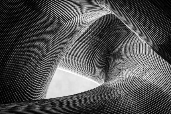 PHOTOWALL / Entwined (e327036)