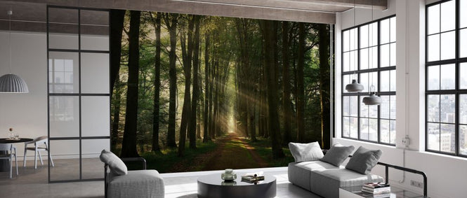 PHOTOWALL / Essential (e327039)