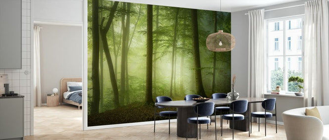 PHOTOWALL / Mysterious Spring Morning (e327068)