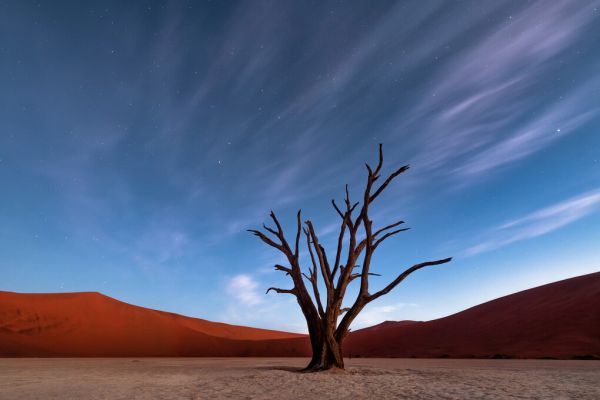 PHOTOWALL / Deadvlei at Dusk (e327069)