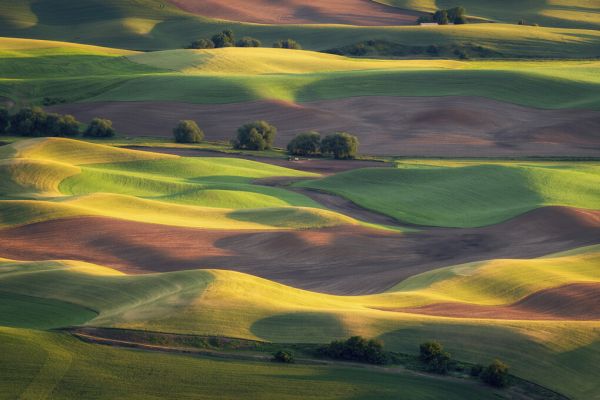 PHOTOWALL / Colorful Palouse (e327070)