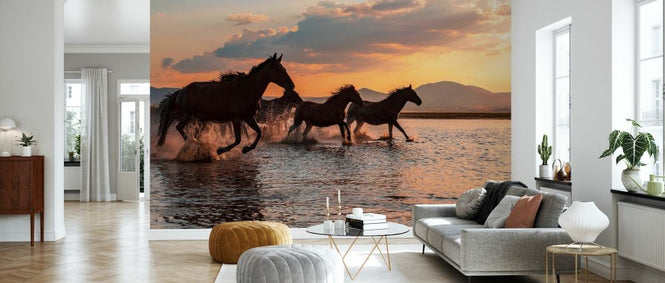 PHOTOWALL / Water Horses (e327077)