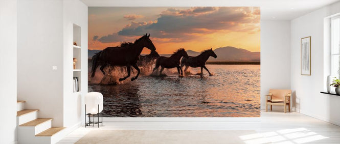 PHOTOWALL / Water Horses (e327077)