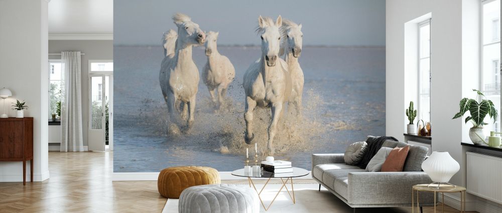 PHOTOWALL / Horses (e327081) | 輸入壁紙専門店 WALPA – WALPA.jp