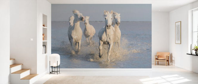 PHOTOWALL / Horses (e327081)