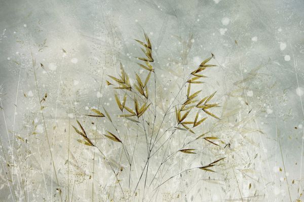 PHOTOWALL / Wintertime (e327085)