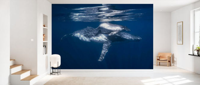 PHOTOWALL / Humpback Whale and its Calf (e327087)