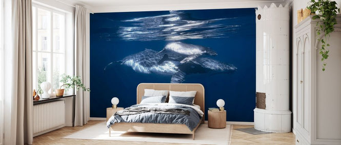 PHOTOWALL / Humpback Whale and its Calf (e327087)