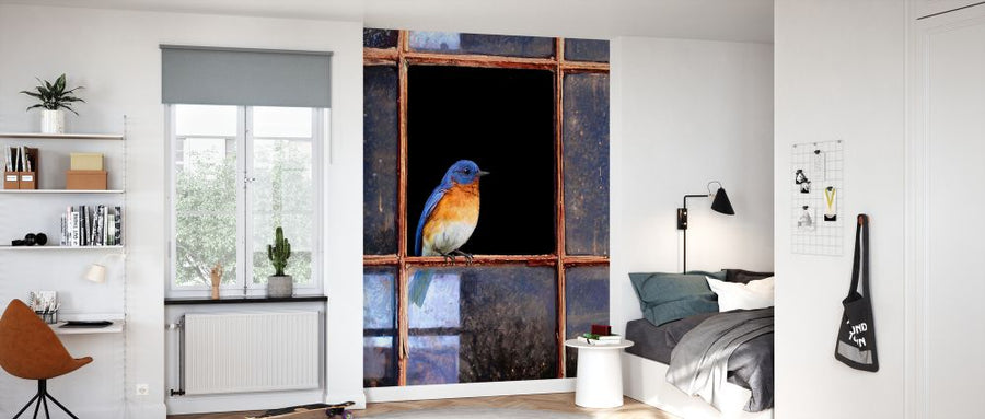 PHOTOWALL / Bluebird Window (e327140)