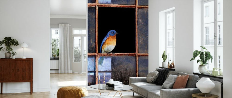 PHOTOWALL / Bluebird Window (e327140)