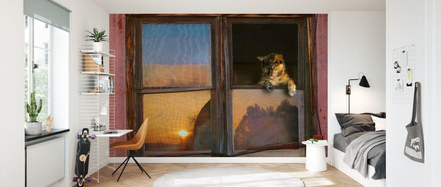 PHOTOWALL / Kitten Window (e327142)