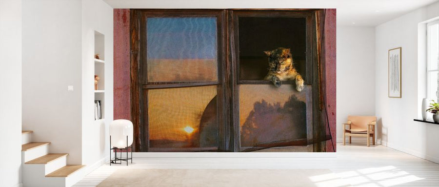 PHOTOWALL / Kitten Window (e327142)