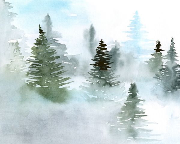 PHOTOWALL / Foggy Evergreens II (e327173)