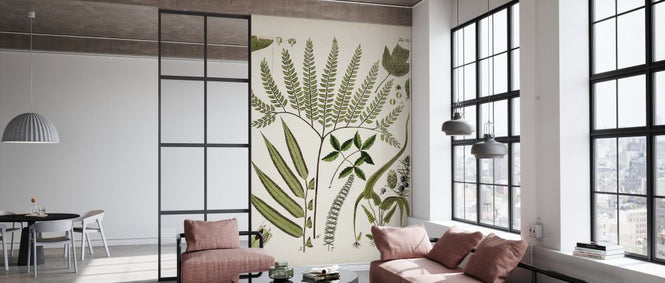 PHOTOWALL / Fanciful Ferns III (e327207)