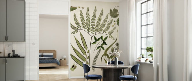 PHOTOWALL / Fanciful Ferns III (e327207)