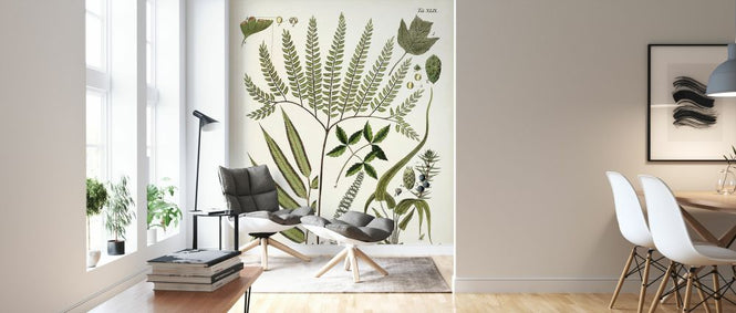 PHOTOWALL / Fanciful Ferns III (e327207)