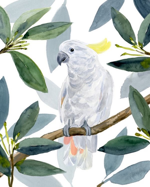 PHOTOWALL / Cockatoo Perch II (e327275)