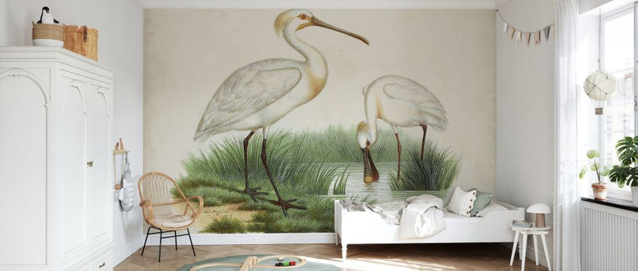 PHOTOWALL / Antique Waterbirds III (e327299)