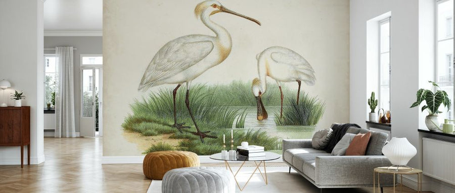 PHOTOWALL / Antique Waterbirds III (e327299)