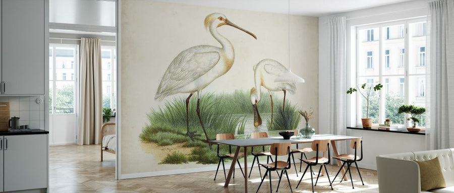 PHOTOWALL / Antique Waterbirds III (e327299)