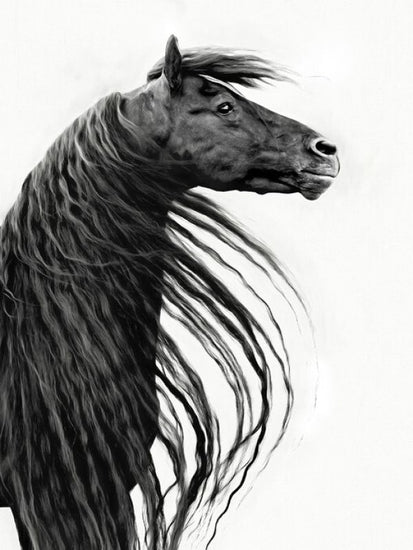 PHOTOWALL / Black and White Horse Portrait II (e327331)