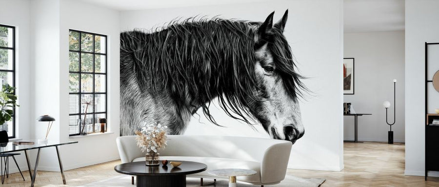 PHOTOWALL / Black and White Horse Portrait III (e327332)