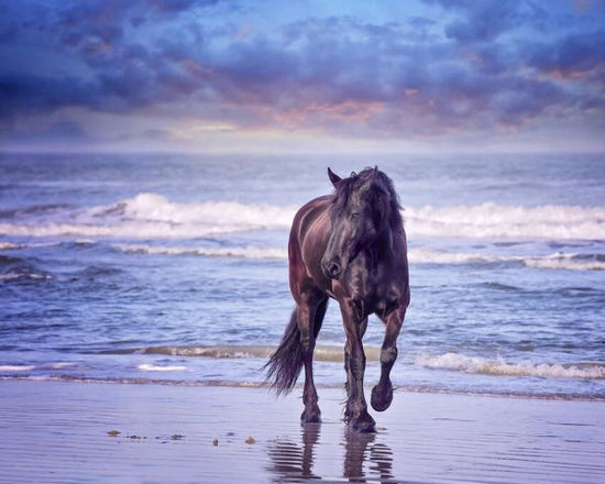 PHOTOWALL / Running in the Sand I (e327335)