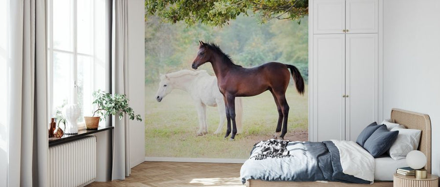 PHOTOWALL / Collection of Horses VII (e327382)