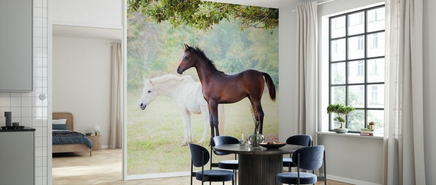 PHOTOWALL / Collection of Horses VII (e327382)