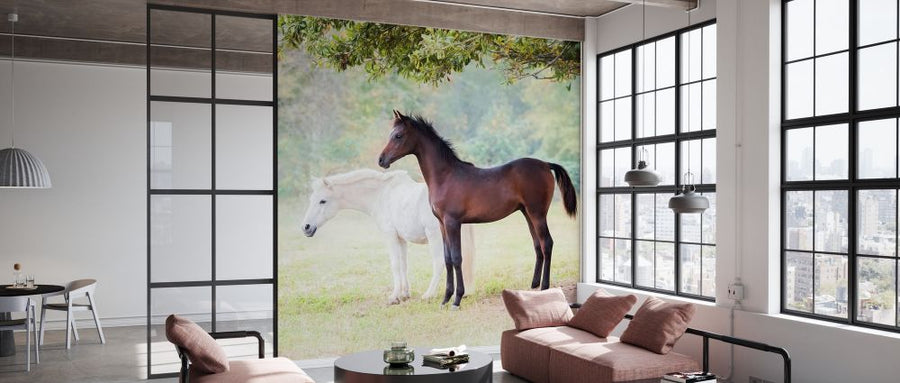 PHOTOWALL / Collection of Horses VII (e327382)