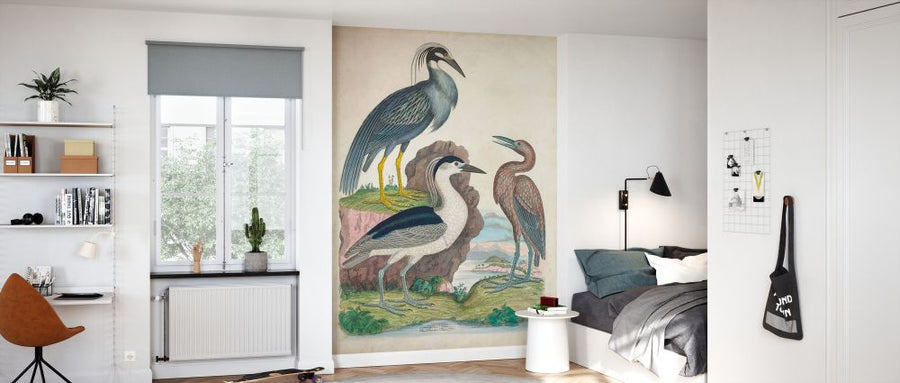 PHOTOWALL / Antique Heron &amp; Waterbirds I (e327392)