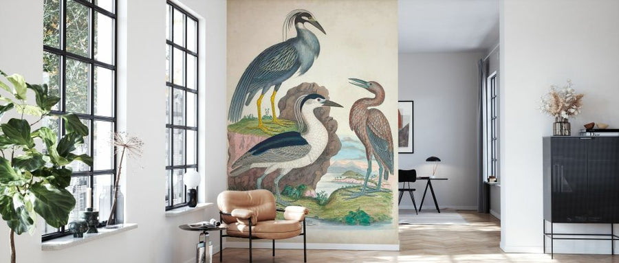 PHOTOWALL / Antique Heron &amp; Waterbirds I (e327392)