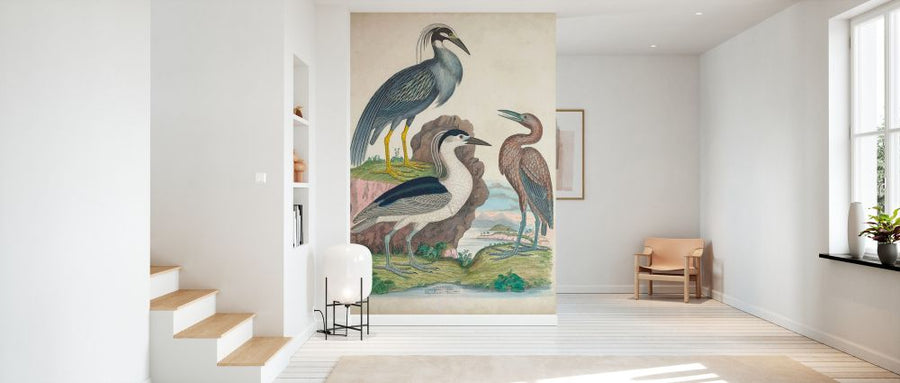 PHOTOWALL / Antique Heron &amp; Waterbirds I (e327392)