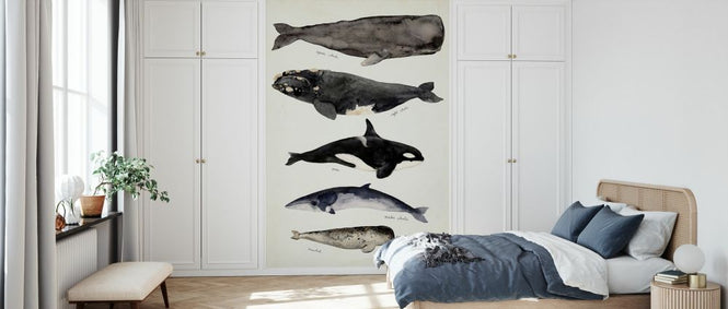 PHOTOWALL / Whale Chart I (e327394)