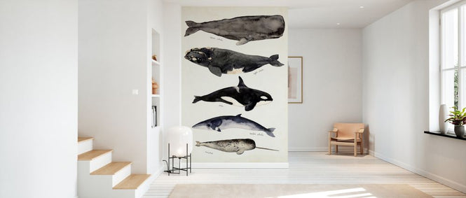 PHOTOWALL / Whale Chart I (e327394)