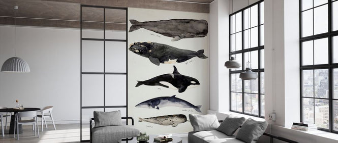 PHOTOWALL / Whale Chart I (e327394)
