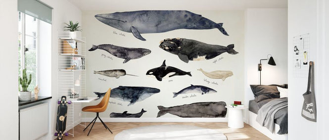 PHOTOWALL / Whale Chart III (e327395)