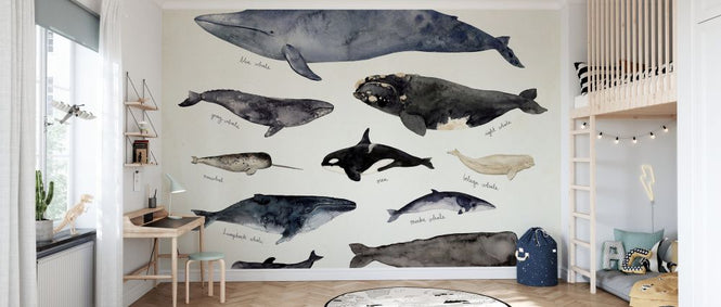 PHOTOWALL / Whale Chart III (e327395)