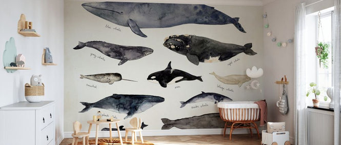 PHOTOWALL / Whale Chart III (e327395)