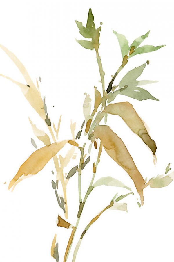 PHOTOWALL / Stems I (e327399)