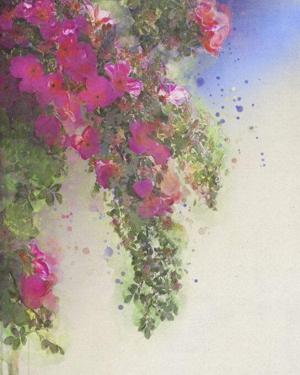 PHOTOWALL / Cascade of Roses I (e327411)