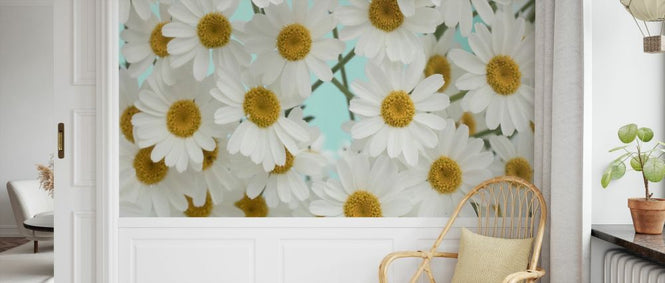 PHOTOWALL / Daisy Love III (e327414)