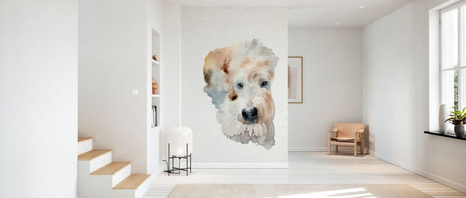 PHOTOWALL / Scruffy Puppy I (e327423)