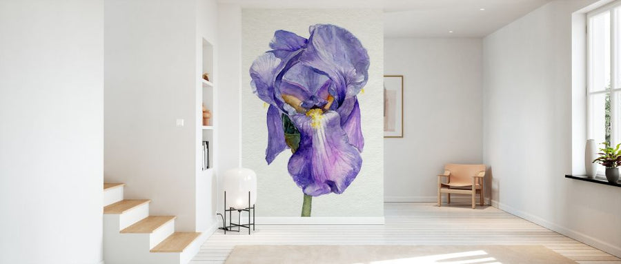 PHOTOWALL / Iris in Bloom II (e327435)