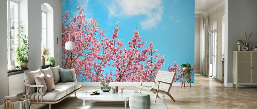 PHOTOWALL / Japan Rising Sun - Cherry Blossoms (e328555)