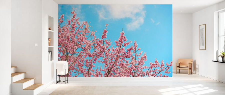 PHOTOWALL / Japan Rising Sun - Cherry Blossoms (e328555)