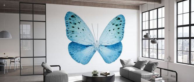 PHOTOWALL / Miss Butterfly X-Ray - Euploea (e328561)