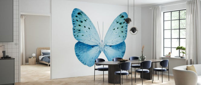 PHOTOWALL / Miss Butterfly X-Ray - Euploea (e328561)