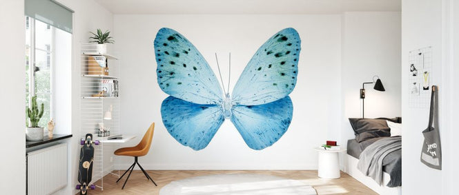 PHOTOWALL / Miss Butterfly X-Ray - Euploea (e328561)