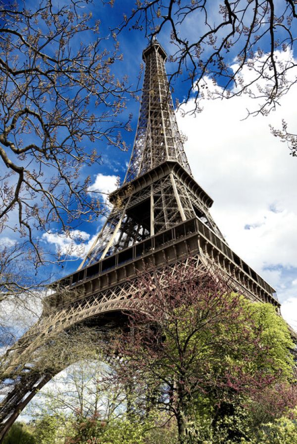 PHOTOWALL / La Tour Eiffel (e328574)